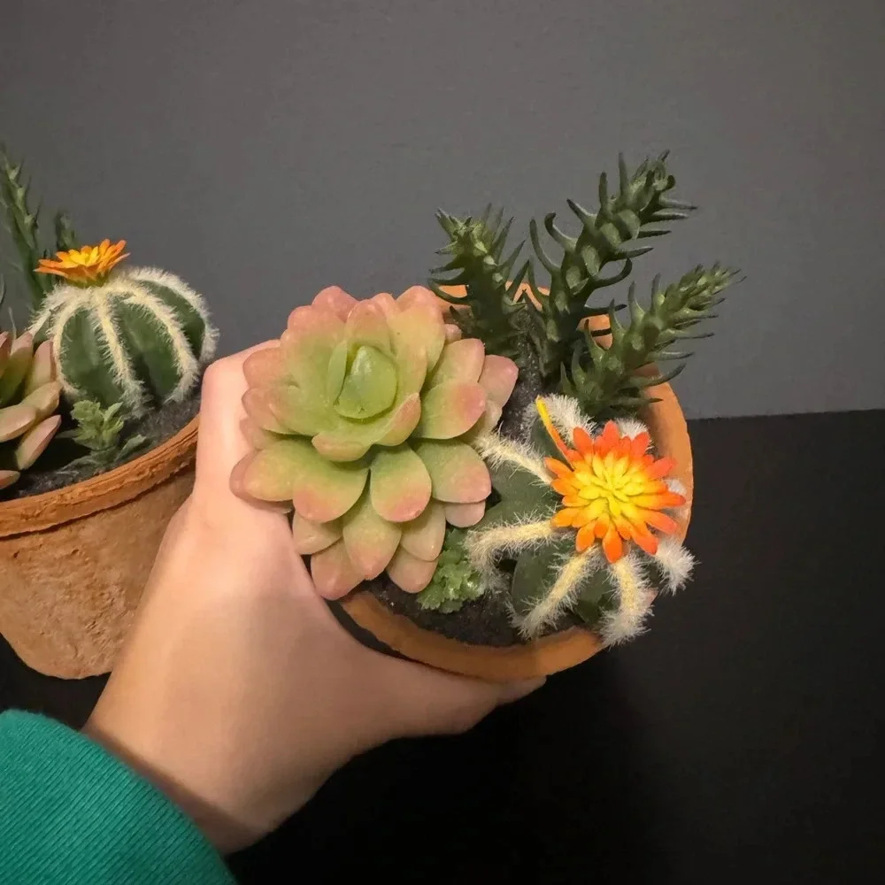 Fake succulent decor set of 2